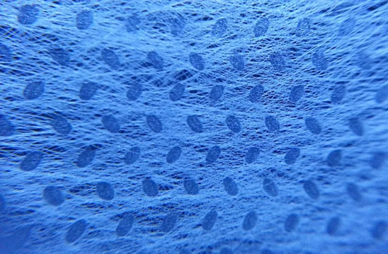 PP spunbond nonwoven